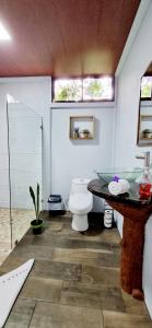 a bathroom with a toilet and a table and a sink at The Frog House in Fortuna