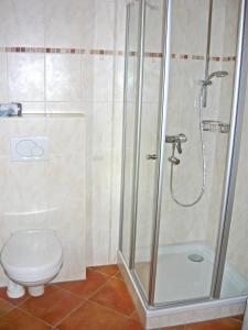 a bathroom with a shower and a toilet at Bauernhof Hamberger Hof in Sachrang