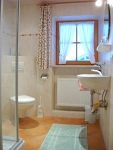 een badkamer met een toilet, een wastafel en een douche bij Bauernhof Hamberger Hof in Sachrang