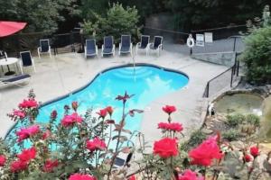 una piscina con sillas y flores en un patio en Cozy Studio Cabin, w/ Hot Tub!, en Gatlinburg