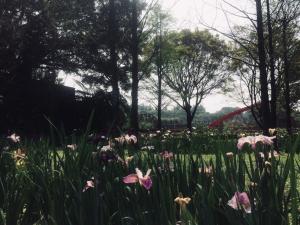 un campo de flores en un parque con árboles en Rainbow Bridge B&B en Sanzhi
