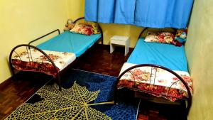 two twin beds in a room with blue curtains at D'Serina Homestay-3 bedroom 6 bed & free parking in Sungai Petani
