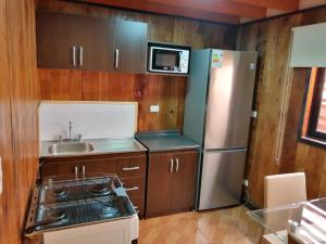 a small kitchen with a refrigerator and a sink at CABAÑAS _EL NATIVO in Choshuenco +27 photos