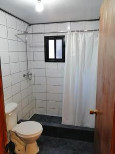 a bathroom with a toilet and a shower curtain at CABAÑAS _EL NATIVO in Choshuenco