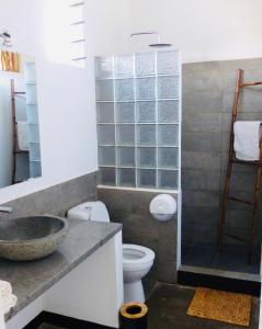 uma casa de banho com um lavatório, um WC e um chuveiro em Le Chat'o Park Hotel Ivato Airport NAVETTE GRATUITE H24 em Antananarivo