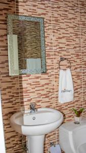 佩德納萊斯的住宿－D´ Yoko Village´s，一间带水槽、镜子和卫生间的浴室