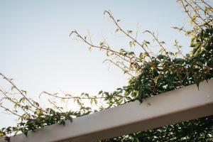 a plant on top of a white fence at Banksia by the Bay in Emu Point