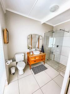 a bathroom with a toilet and a sink and a shower at At Leisure in Worcester +22 photos
