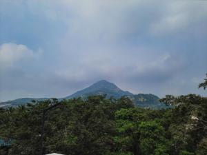 a mountain in the distance with trees in the foreground at Dwaraka Guest House in Tiruvannāmalai