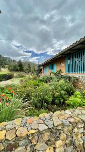 a garden with a stone wall in front of a house at Cabaña en la Mesa de los Santos in Pescadero