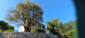a house with a tree behind a stone wall at Quiet and Nature Holiday Home on the Cote dAzur in Le Bar-sur-Loup