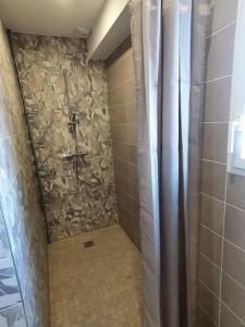 een badkamer met een douche en een stenen muur bij La maison d'Elodie in Foncine-le-Haut
