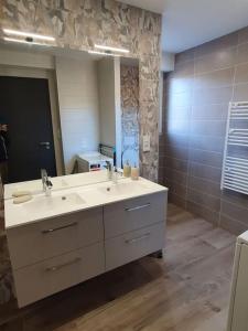 uma casa de banho com um lavatório e um espelho grande em La maison d'Elodie em Foncine-le-Haut