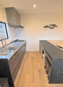 Kuchyň nebo kuchyňský kout v ubytování Myoko Apartments