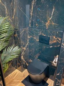 baño con aseo y pared de mármol en O2M Aix les bains, en Aix-les-Bains