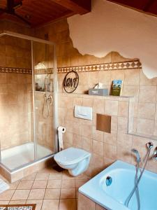 uma casa de banho com um chuveiro, um WC e um lavatório. em Gemütliche Wohnung mit Ofen und Naturblick em Wildpoldsried
