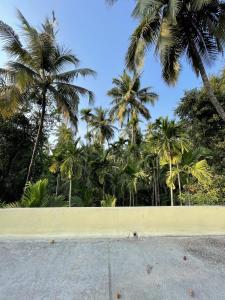a yellow wall with palm trees in the background at Shobha Niwas in Nandgaon