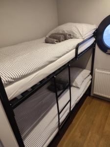 un paio di letti a castello in una stanza di Houseboat- dom na wodzie z sauną i możliwością pływania a Iława