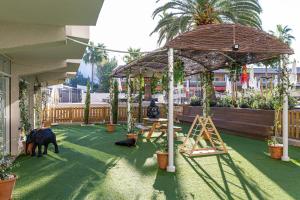 Vonkajšia záhrada v ubytovaní INNSiDE by Meliá Alcudia