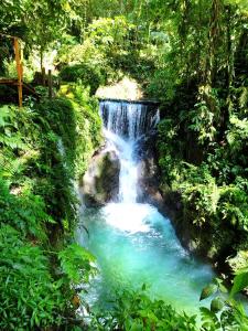 a waterfall in the middle of a forest at Pozas y Cascadas La Presa in Río Cuarto