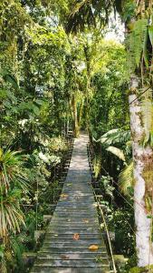 a wooden walkway in the middle of a forest at Pozas y Cascadas La Presa in Río Cuarto