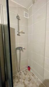 La salle de bains est pourvue d'une douche avec un pommeau de douche. dans l'établissement L'Hermitage - Appartement T3 en bord de plage, à Filaos