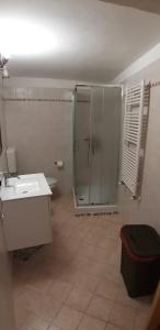 W łazience znajduje się prysznic i umywalka. w obiekcie Marianna casa vacanza w mieście Azzate