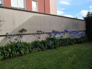 A garden outside Villa Josechu en Candás
