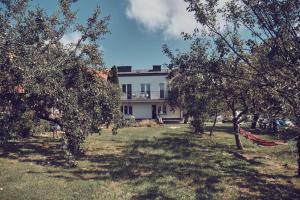 une maison blanche avec des arbres devant elle dans l'établissement WieliczkaHome 1st floor + garden + parking, à Wieliczka