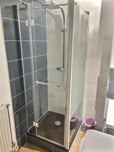 La salle de bains est pourvue d'une douche avec une porte en verre. dans l'établissement Les Recollets, à Châlons-en-Champagne