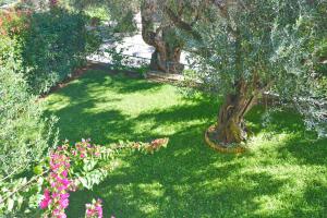 Сад в Pebbles and sea at Barbati with shared pool
