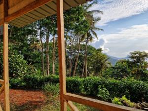 a wooden porch with a view of a forest at World's View Wild Camping Salaszoi, Principe Island in Santo António
