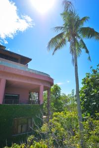 uma palmeira ao lado de um edifício com uma palmeira em Biancas Garden Apartments Boracay em Boracay