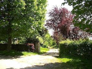 a dirt path in a garden with trees and bushes at Nieuwhuis Nuth in Nuth