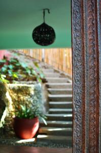 um conjunto de escadas com uma planta num vaso em Biancas Garden Apartments Boracay em Boracay