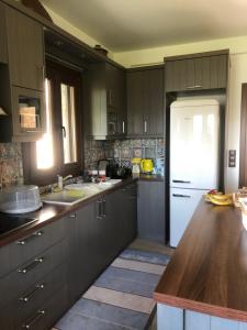 A kitchen or kitchenette at Pefkofyto Mountain Retreat