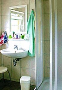 een badkamer met een wastafel en een douche bij Pension Fröhlich in Gager