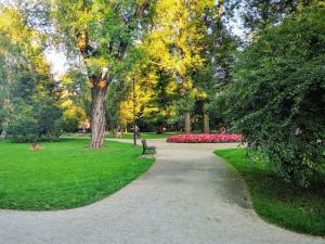 un camino en un parque con un banco y flores en Basic, quiet apartment close to Main Square en Cracovia