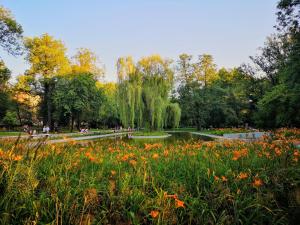 un parque con un estanque y flores en Basic, quiet apartment close to Main Square en Cracovia