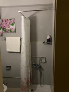a bathroom with a shower curtain and a toilet at Cosy Apartment in City Centre in Ioannina