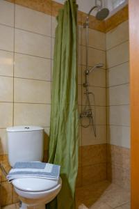 y baño con aseo y ducha con cortina de ducha. en Cottage home at South Chania, en Grigorianá