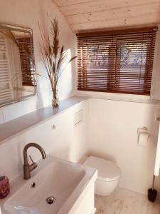 un bagno bianco con un water e un lavandino di Zirkuswagen mit Outdoor Whirlpool und Garten a Petershagen