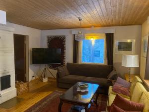 salon z kanapą i telewizorem w obiekcie Villa Toivo w mieście Rovaniemi