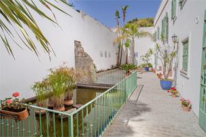 a street with potted plants and a white building at Apartamentos Gravina in Tarifa