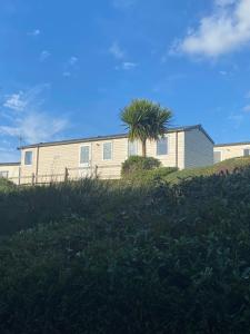 a house on a hill with a palm tree at Littlesea haven Rachel’s retreat in Wyke Regis