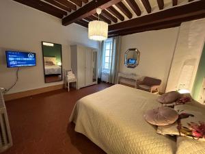 una camera da letto con un letto grande e una TV di San Giorgio Suite a Pisa