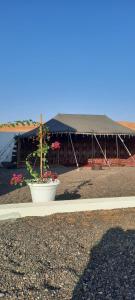 a building with a tent and a pot of flowers at Grand Chalet in Al Raka