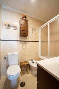 ein Bad mit einem WC, einem Waschbecken und einer Dusche in der Unterkunft Casina de Dante in San Juan de la Arena