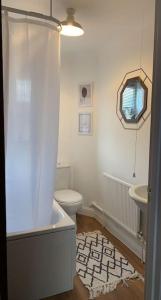 a bathroom with a shower and a toilet and a sink at Luxury 2 Bedroom House in Dunstable
