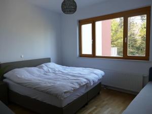 Schlafzimmer mit einem Bett und einem Fenster in der Unterkunft Forest Green Pohorje Apartment in Hočko Pohorje